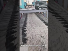 Linea di produzione di fertilizzanti composti con granulatore a doppio rullo