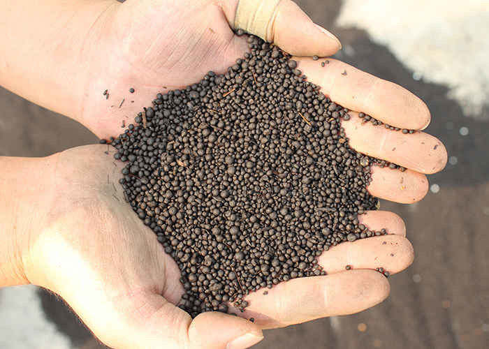 1-10 T/h Capacità Granulatore di fertilizzanti organici di tipo umido per polvere di compost organico