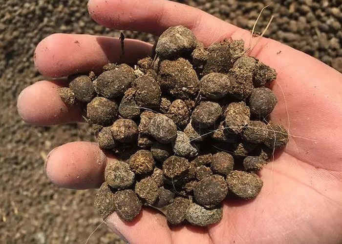 Granulatore per fertilizzanti nella granulazione di materiali organici come fieno, escrementi di cavallo, resti vegetali e acido fulvico