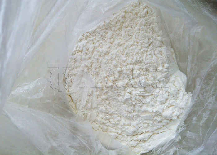 Macchina granulatrice a disco per lettiera per gatti in bentonite di alta qualità per la linea di produzione di lettiera per gatti