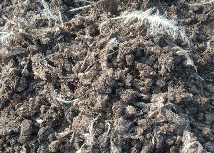 Macchina per compostaggio a fermentazione di letame organico tipo cingolato per decomposizione aerobica a cumulo a terra