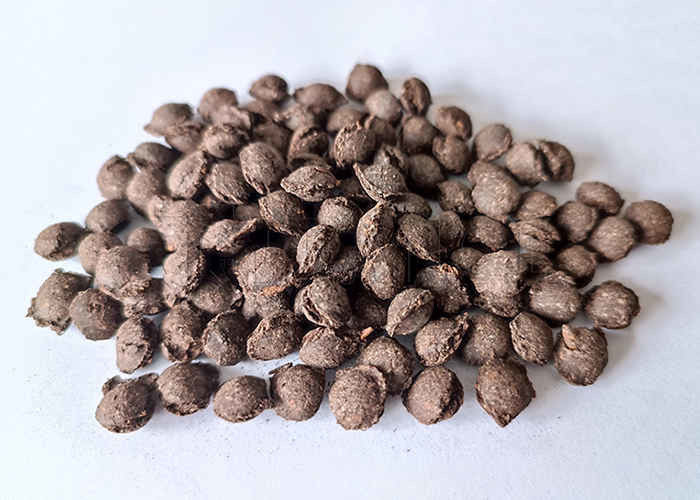 Linea di produzione di fertilizzanti composti granulatori ad estrusione a doppio rulli ad alta efficienza per polveri chimiche NPK