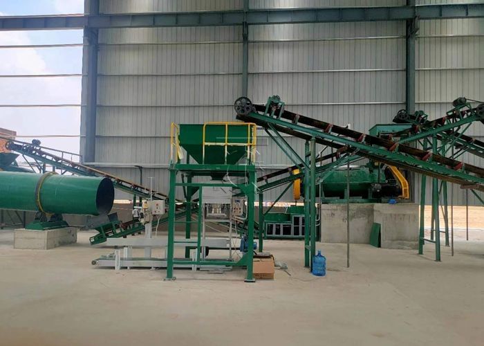 Compost concime fertilizzante organico pellet machine tipo palla forma granulare